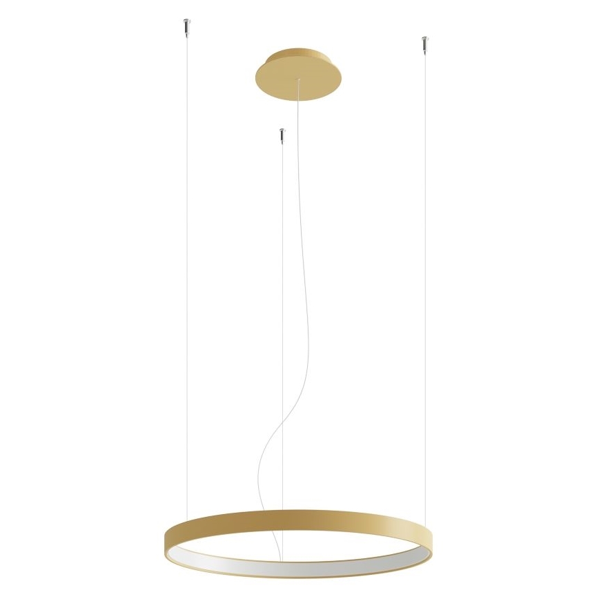 Thoro TH.216 - LED Luster na lanku RIO LED/30W/230V CRI 90 3000K pr. 55 cm zlatá