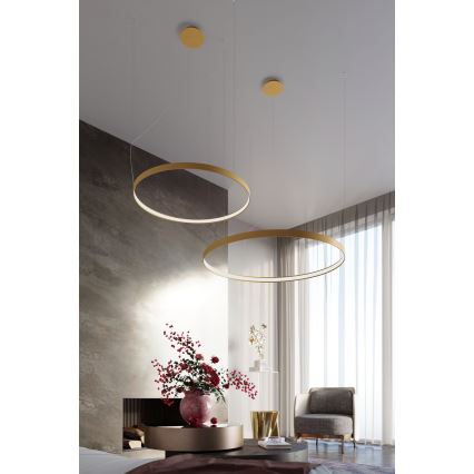 Thoro TH.217 - LED Luster na lanku RIO LED/30W/230V CRI 95 4000K pr. 55 cm zlatá