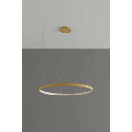 Thoro TH.217 - LED Luster na lanku RIO LED/30W/230V CRI 95 4000K pr. 55 cm zlatá