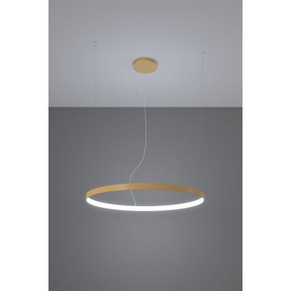 Thoro TH.217 - LED Luster na lanku RIO LED/30W/230V CRI 95 4000K pr. 55 cm zlatá