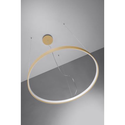 Thoro TH.217 - LED Luster na lanku RIO LED/30W/230V CRI 95 4000K pr. 55 cm zlatá