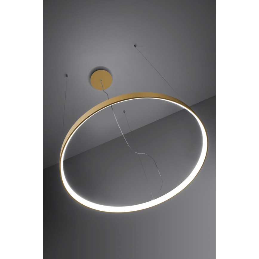 Thoro TH.217 - LED Luster na lanku RIO LED/30W/230V CRI 95 4000K pr. 55 cm zlatá