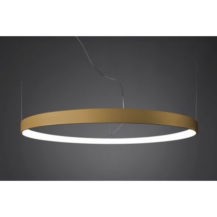 Thoro TH.217 - LED Luster na lanku RIO LED/30W/230V CRI95 4000K pr. 55 cm zlatá