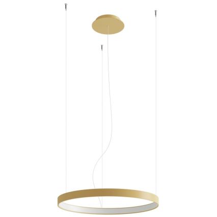 Thoro TH.217 - LED Luster na lanku RIO LED/30W/230V CRI 95 4000K pr. 55 cm zlatá