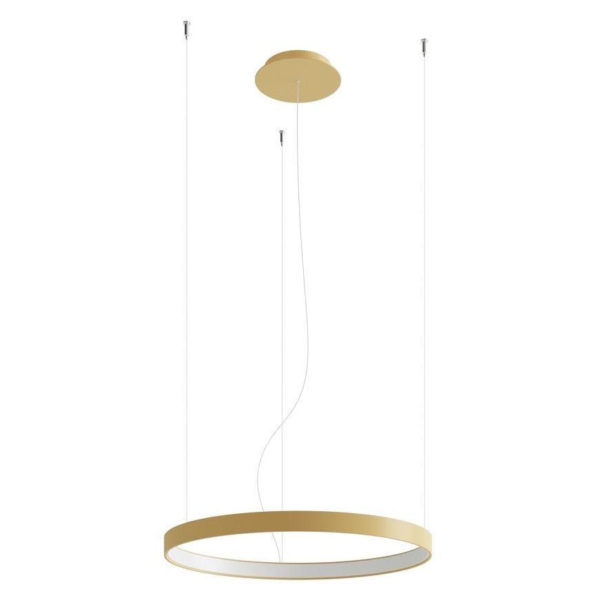 Thoro TH.217 - LED Luster na lanku RIO LED/30W/230V CRI 95 4000K pr. 55 cm zlatá