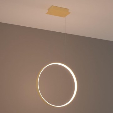 Thoro TH.220 - LED Luster na lanku RIO LED/30W/230V CRI 90 3000K pr. 55 cm zlatá