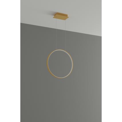 Thoro TH.220 - LED Luster na lanku RIO LED/30W/230V CRI 90 3000K pr. 55 cm zlatá