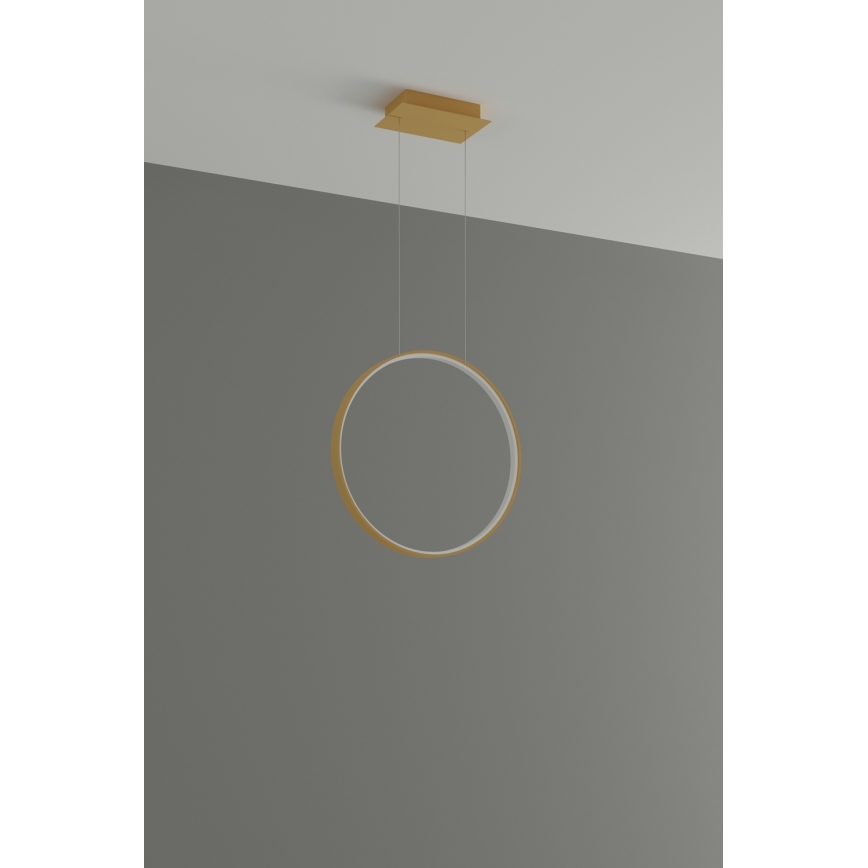 Thoro TH.220 - LED Luster na lanku RIO LED/30W/230V CRI 90 3000K pr. 55 cm zlatá