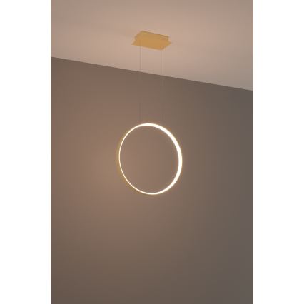 Thoro TH.220 - LED Luster na lanku RIO LED/30W/230V CRI 90 3000K pr. 55 cm zlatá