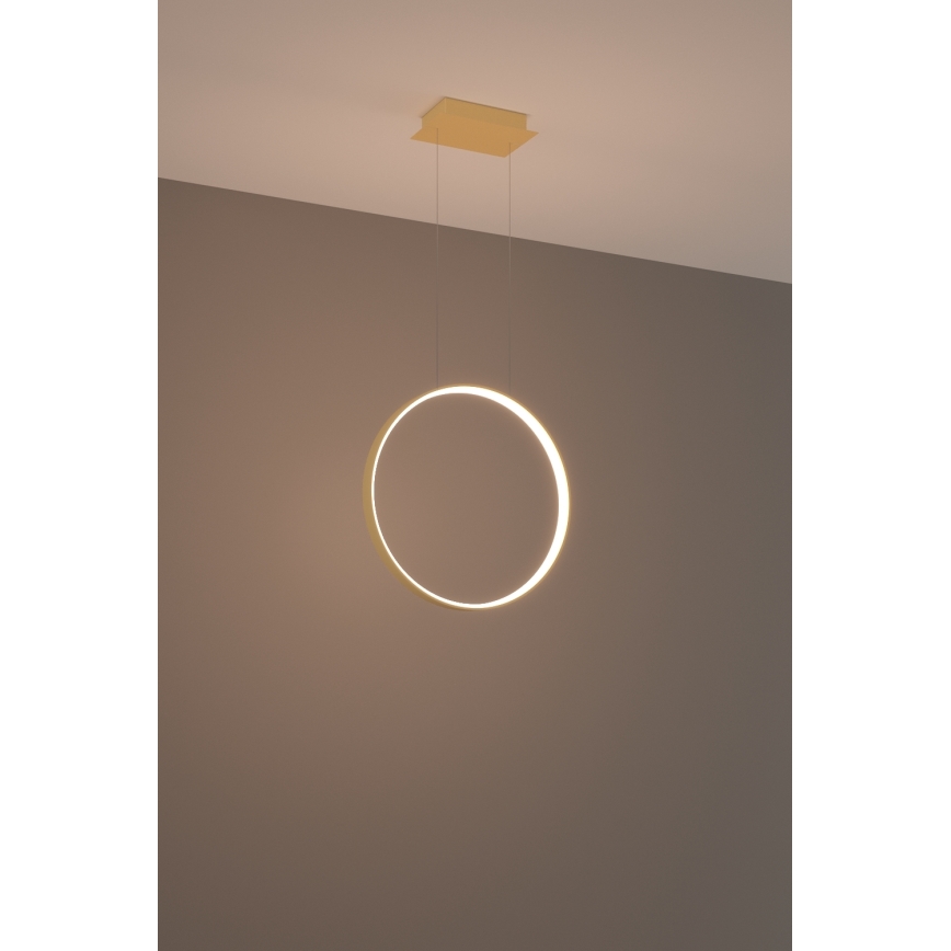 Thoro TH.220 - LED Luster na lanku RIO LED/30W/230V CRI 90 3000K pr. 55 cm zlatá