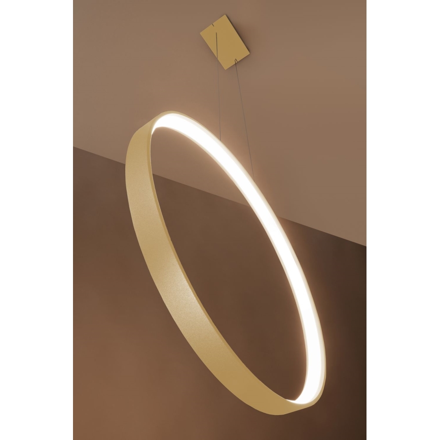 Thoro TH.220 - LED Luster na lanku RIO LED/30W/230V CRI 90 3000K pr. 55 cm zlatá