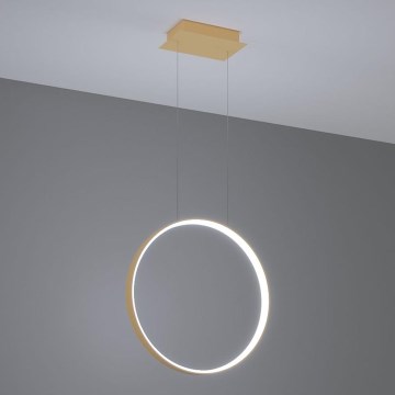Thoro TH.221 - LED Luster na lanku RIO LED/30W/230V CRI 95 4000K pr. 55 cm zlatá