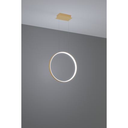 Thoro TH.221 - LED Luster na lanku RIO LED/30W/230V CRI 95 4000K pr. 55 cm zlatá