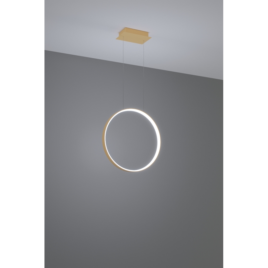 Thoro TH.221 - LED Luster na lanku RIO LED/30W/230V CRI 95 4000K pr. 55 cm zlatá
