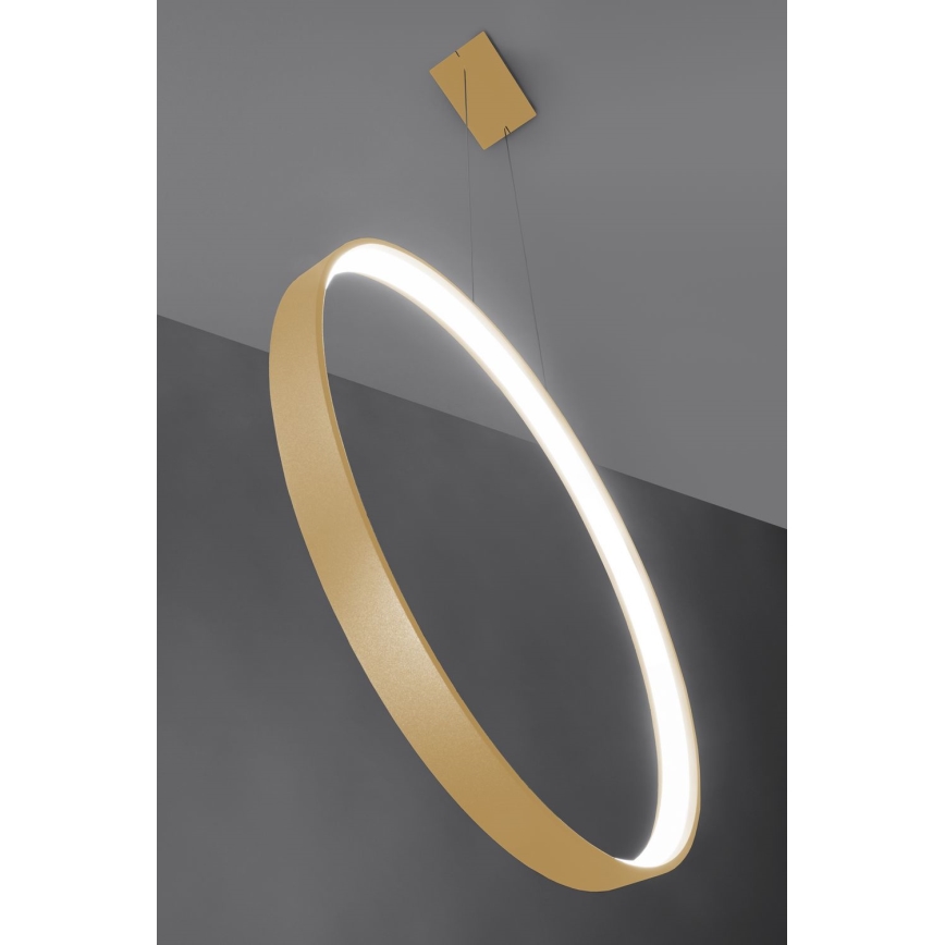 Thoro TH.221 - LED Luster na lanku RIO LED/30W/230V CRI 95 4000K pr. 55 cm zlatá
