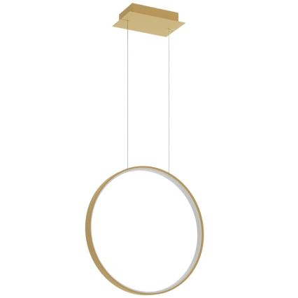 Thoro TH.221 - LED Luster na lanku RIO LED/30W/230V CRI 95 4000K pr. 55 cm zlatá