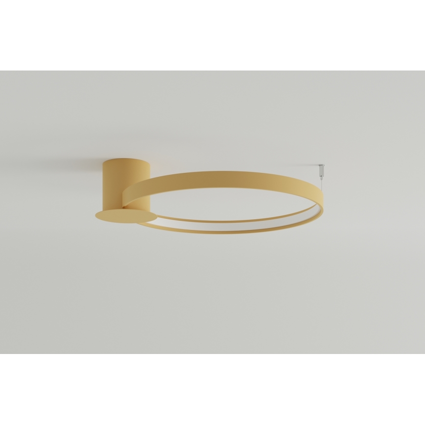 Thoro TH.222 - LED Stropné svietidlo RIO LED/30W/230V CRI 90 3000K pr. 55 cm zlatá