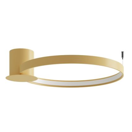 Thoro TH.223 - LED stropné svietidlo RIO LED/30W/230V CRI 98 4000K priemer 55 cm zlaté