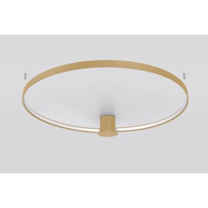 Thoro TH.224 - LED Stropné svietidlo RIO LED/50W/230V CRI 90 3000K pr. 78 cm zlatá