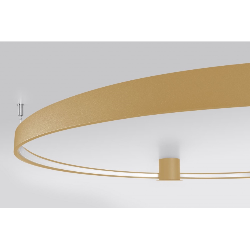 Thoro TH.224 - LED Stropné svietidlo RIO LED/50W/230V CRI 90 3000K pr. 78 cm zlatá