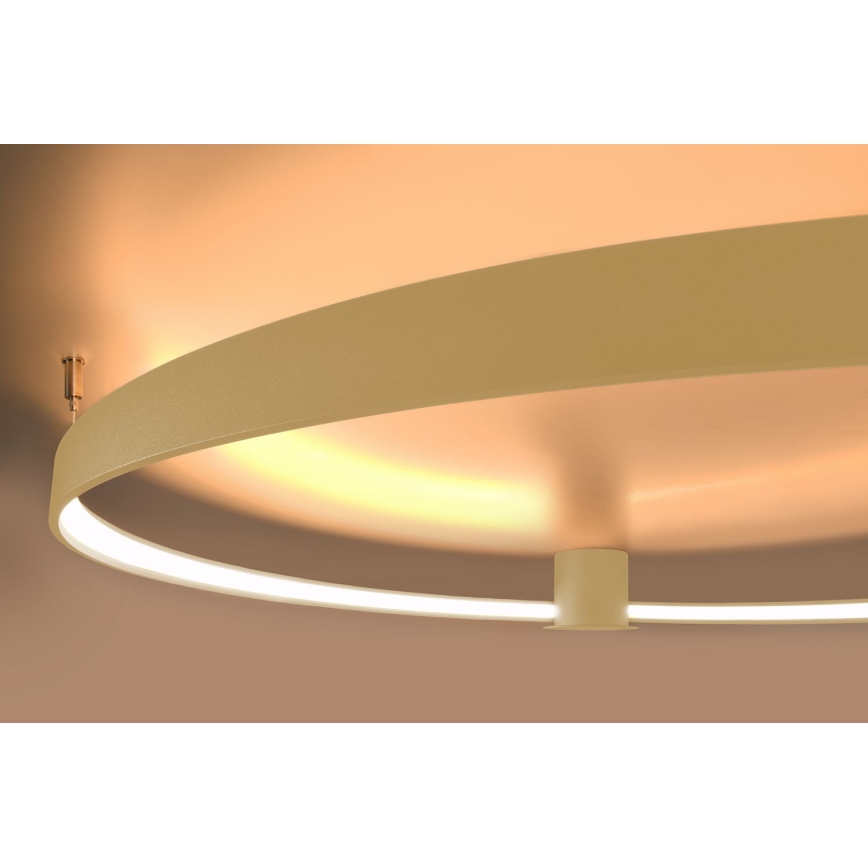 Thoro TH.224 - LED Stropné svietidlo RIO LED/50W/230V CRI 90 3000K pr. 78 cm zlatá