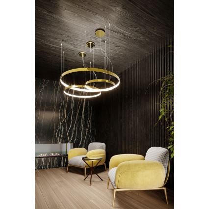 Thoro TH.246 - LED Luster na lanku RIO LED/50W/230V CRI 90 3000K pr. 78 cm zlatá