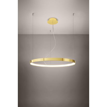 Thoro TH.246 - LED Luster na lanku RIO LED/50W/230V CRI 90 3000K pr. 78 cm zlatá