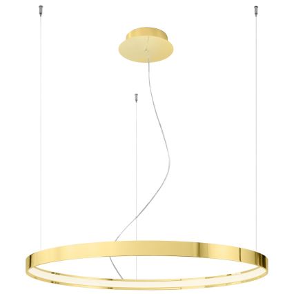 Thoro TH.246 - LED Luster na lanku RIO LED/50W/230V CRI 90 3000K pr. 78 cm zlatá
