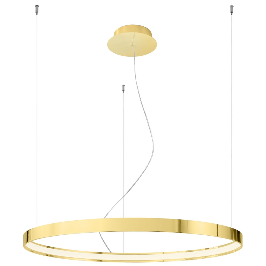 Thoro TH.246 - LED Luster na lanku RIO LED/50W/230V CRI 90 3000K pr. 78 cm zlatá