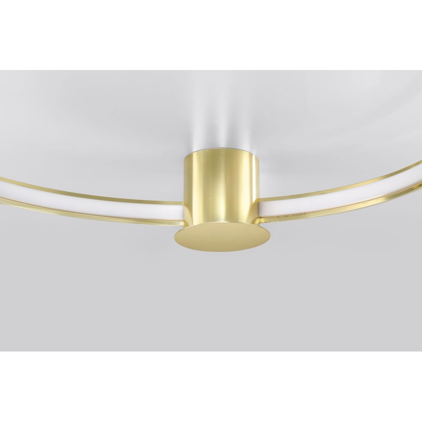 Thoro TH.252 - LED Stropné svietidlo RIO LED/50W/230V CRI 90 3000K pr. 78 cm zlatá
