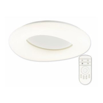 Top Light Cloud PL RC - LED Stmievateľné stropné svietidlo s diaľkovým ovládaním LED/40W/230V