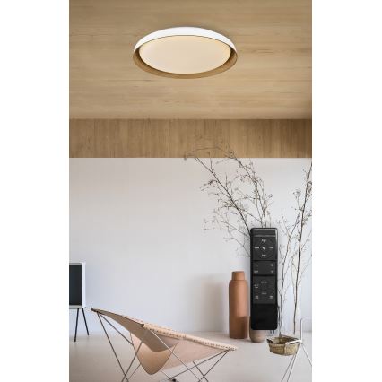 Top Light - LED Stmievateľné stropné svietidlo SATELLITE LED/48W/230V 3000-6500K pr. 53 cm biela/hnedá + diaľkové ovládanie