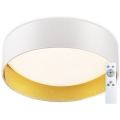 Top Light - LED Stmievateľné stropné svietidlo IVONA 40B RC LED/24W/230V + diaľkové ovládanie biela