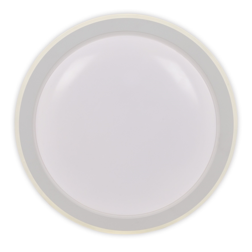 Top Light - LED Stmievateľné stropné svietidlo NORMAN LED/60W/230V pr. 49 cm biela + diaľkové ovládanie