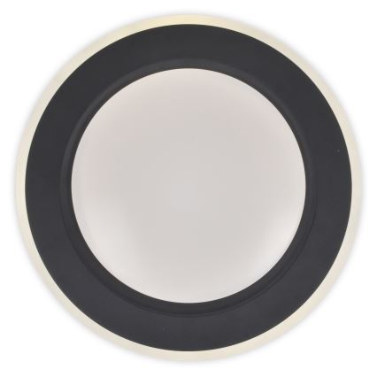 Top Light - LED Stmievateľné stropné svietidlo NORMAN LED/60W/230V pr. 49 cm čierna + diaľkové ovládanie