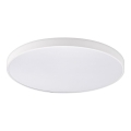 Top Light - LED stmievateľné stropné svietidlo PETAL LED/60W/230V 3000-6500K pr. 59 cm biela + diaľkové ovládanie