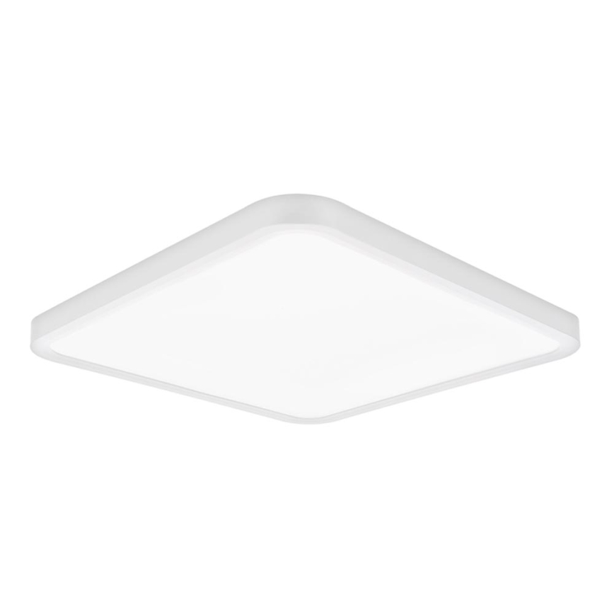 Top Light - LED Stmievateľné stropné svietidlo REVIT LED/36W/230V 3000-6500K 40x40 cm biela + diaľkové ovládanie