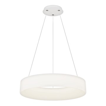 Top Light - LED Stmievateľný luster HALO LED/60W/230V 3000-6500K priemer 60 cm + diaľkové ovládanie