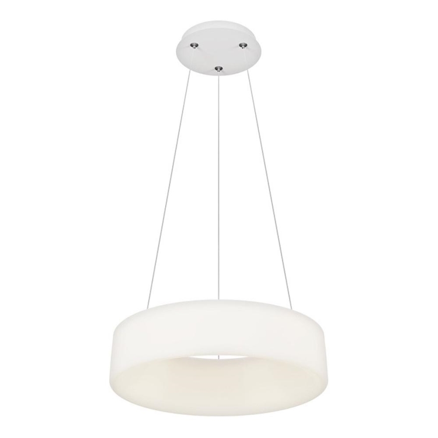 Top Light - LED Stmievateľný luster na lankách HALO LED/40W/230V 3000-6500K pr. 44 cm + diaľkové ovládanie