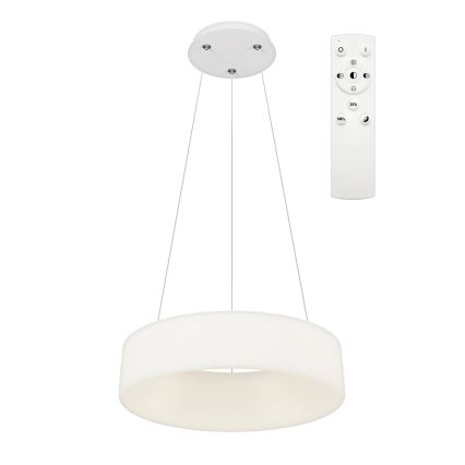 Top Light - LED Stmievateľný luster na lankách HALO LED/40W/230V 3000-6500K pr. 44 cm + diaľkové ovládanie