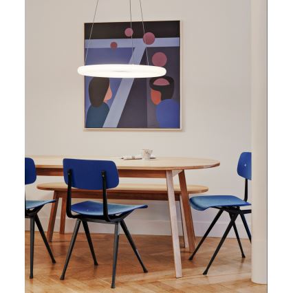 Top Light - LED stmievateľný závesný luster na lankách RINGO LED/40W/230V 3000-6500K biela + diaľkové ovládanie