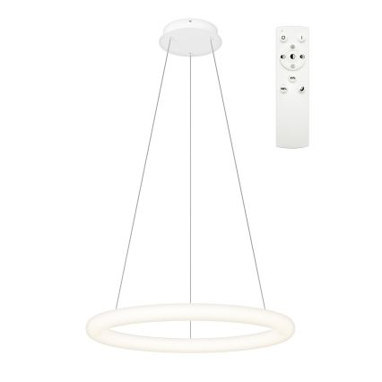Top Light - LED stmievateľný závesný luster na lankách RINGO LED/40W/230V 3000-6500K biela + diaľkové ovládanie