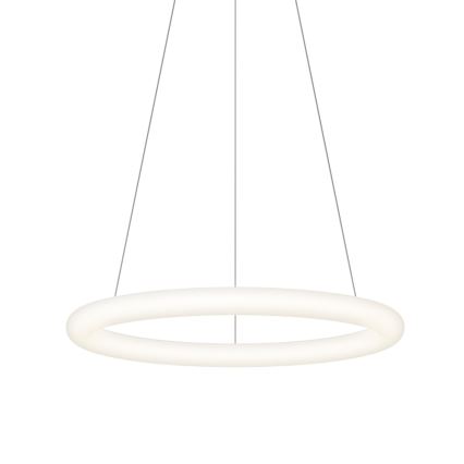 Top Light - LED stmievateľný závesný luster na lankách RINGO LED/40W/230V 3000-6500K biela + diaľkové ovládanie