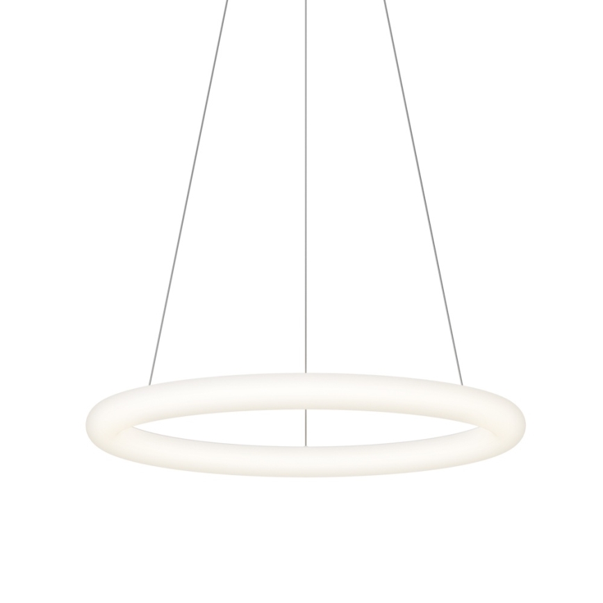 Top Light - LED stmievateľný závesný luster na lankách RINGO LED/40W/230V 3000-6500K biela + diaľkové ovládanie