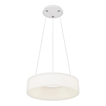 Top Light - LED Stmívatelný lustr na lanku HALO LED/40W/230V 3000-6500K pr. 44 cm + dálkové ovládanie