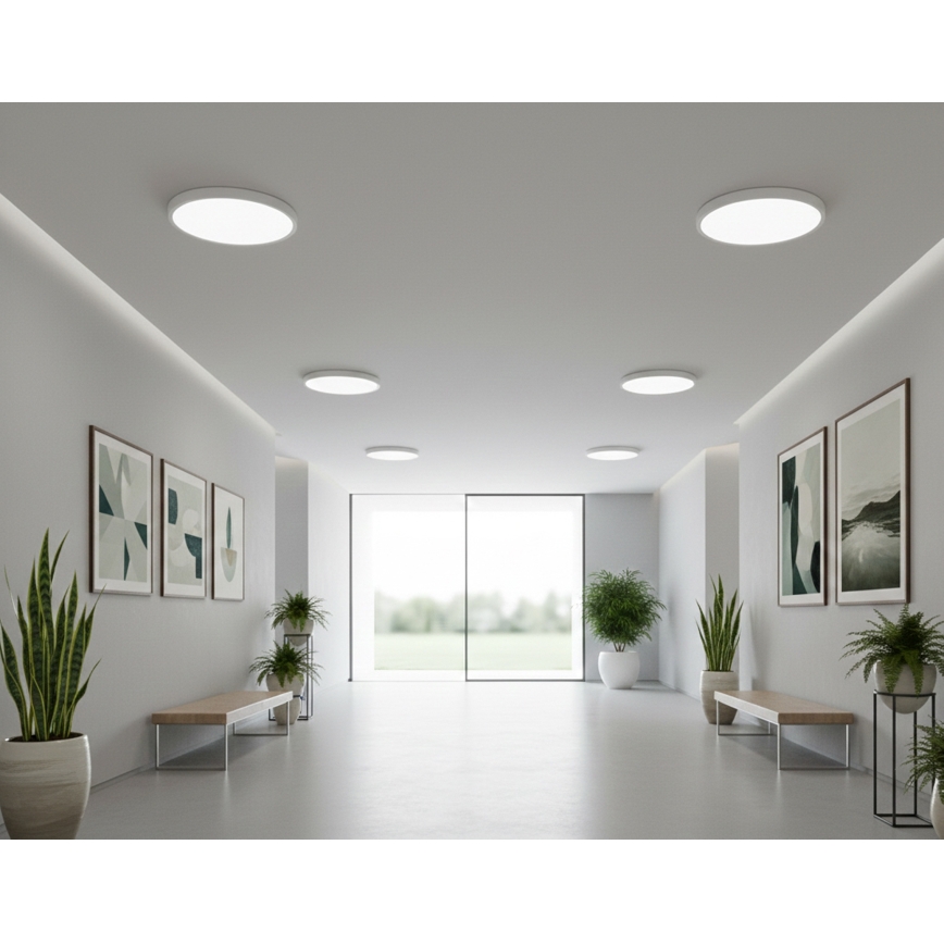 Top Light - LED stropné svietidlo s pohybovým senzorom REVIT LED/12/18/24W/230V 3000/4000/6500K pr. 30 cm biela