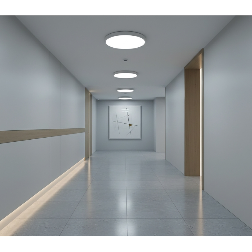 Top Light - LED stropné svietidlo s pohybovým senzorom REVIT LED/12/18/24W/230V 3000/4000/6500K pr. 30 cm biela