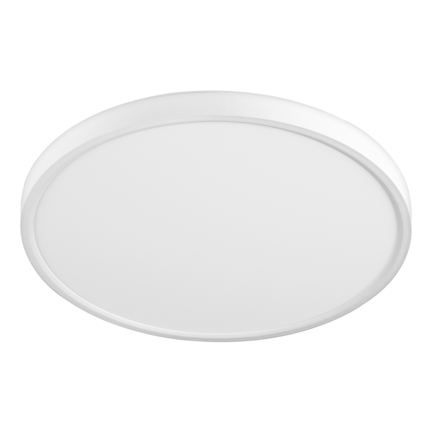 Top Light - LED Stropné svietidlo REVIT LED/24W/230V 3000/4000/6500K pr. 30 cm biela