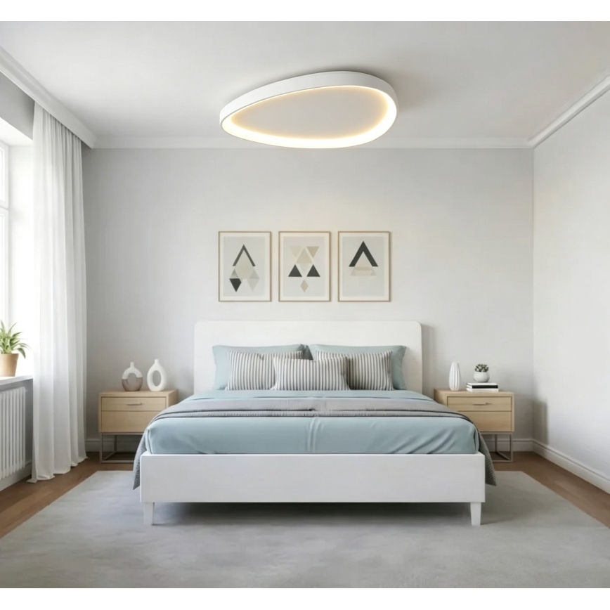 Top Light - LED Stmievateľné stropné svietidlo ECLIPSE LED/55W/230V 3000-6500K pr. 60 cm biela + diaľkové ovládanie
