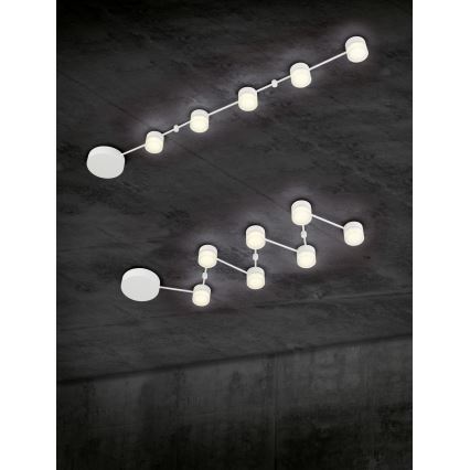 Trio - LED Stmievateľné stropné svietidlo NASHVILLE 5xLED/3W/230V